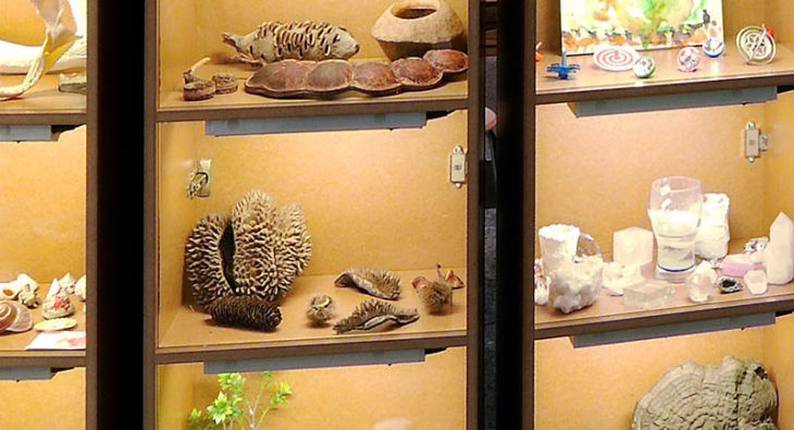 Wunderwelten Ausstellung Museum fuer Naturkunde Berlin Tischlerei holzart